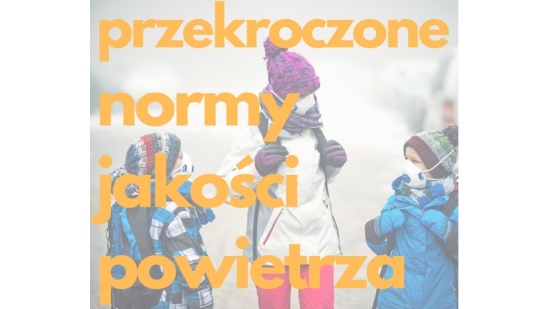 grafika informacyjna